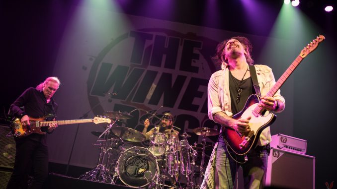 The Winery Dogs
