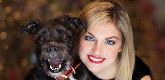 Top 3 Pet Sitting Business WordPress Themes How to run a pet sitting business website without coding experience