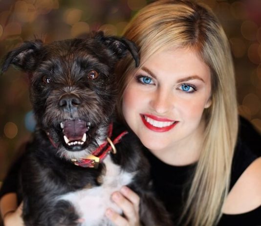 Top 3 Pet Sitting Business WordPress Themes How to run a pet sitting business website without coding experience