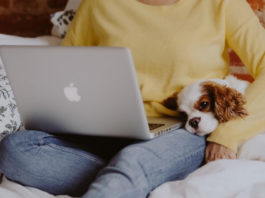 How to Make Money Blogging How to make money blogging for beginners