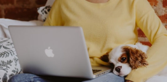 How to Make Money Blogging How to make money blogging for beginners