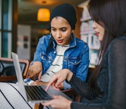 What are Plugins in WordPress? two girls using laptop for WordPress plugins