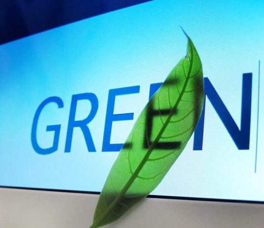 Top 5 Most Environmentally Friendly Web Host Solutions Best environmentall friendly web hosts: iPage, Green Geeks