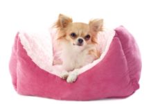 17 Best Dropshipping Niches Want to start your own online store? Want a good niche for dropshipping? From pet accessories to watches to lingerie, find out what made our list!