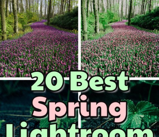 20 Best Spring Lightroom Presets 20 best spring Lightroom presets for mobile and desktop