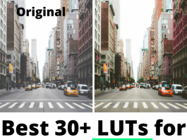 30 Best LUTs for DaVinci Resolve best LUTs for DaVinci Resolve video editing software