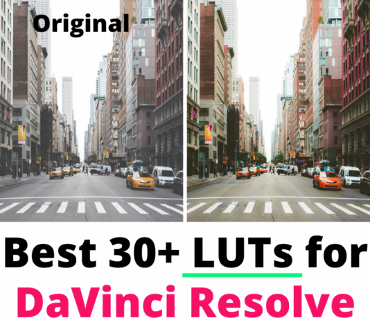 30 Best LUTs for DaVinci Resolve best LUTs for DaVinci Resolve video editing software