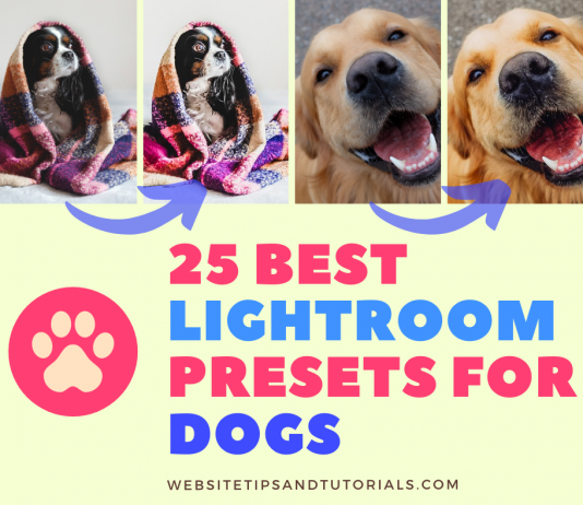 25 Best Lightroom Presets for Dogs Best Lightroom Presets For Dogs Photography