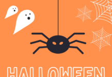 15 Best Halloween Instagram Story Templates Our list of the best Halloween Instagram Story Templates