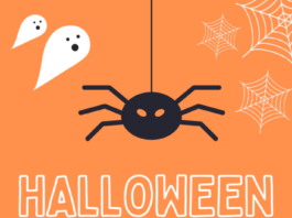 15 Best Halloween Instagram Story Templates Our list of the best Halloween Instagram Story Templates