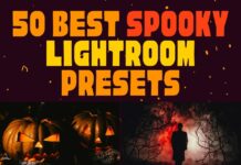 50 Best Spooky Lightroom Presets 50 Best Spooky Lightroom Presets for Mobile & Desktop
