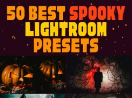50 Best Spooky Lightroom Presets 50 Best Spooky Lightroom Presets for Mobile & Desktop
