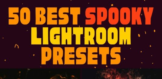 50 Best Spooky Lightroom Presets 50 Best Spooky Lightroom Presets for Mobile & Desktop