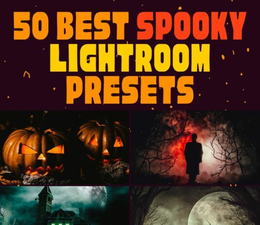 50 Best Spooky Lightroom Presets 50 Best Spooky Lightroom Presets for Mobile & Desktop
