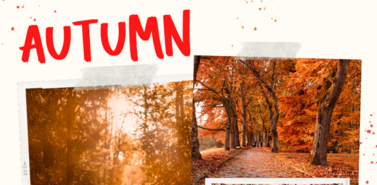 Top 100 Best Fall Presets for Lightroom Autumn Best Lightroom Presets for Fall Season Photography