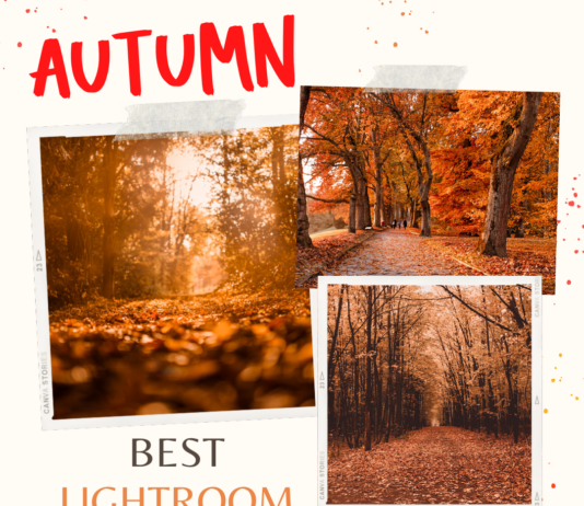 Top 100 Best Fall Presets for Lightroom Autumn Best Lightroom Presets for Fall Season Photography