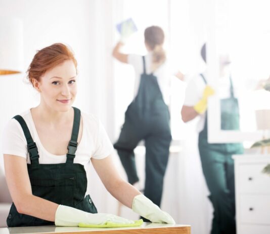 Top 40 Best WordPress Theme for Cleaning Company Best cleaning service WordPress themes
