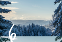 Top 55 Best Winter Presets for Lightroom 55 Winter Presets for Lightroom and before and after examples of winter snowscape photo edited by a winter mobile preset