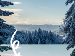 Top 55 Best Winter Presets for Lightroom 55 Winter Presets for Lightroom and before and after examples of winter snowscape photo edited by a winter mobile preset