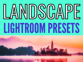 50+ Best Lightroom Presets for Landscapes Landscape Lightroom presets for desktop and mobile app
