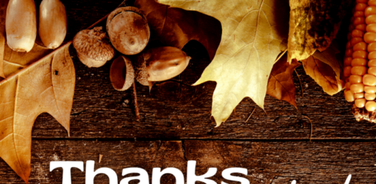 Top 15 Best Thanksgiving Instagram Story Template How to use a Thanksgiving Instagram Story Template to create new content in November