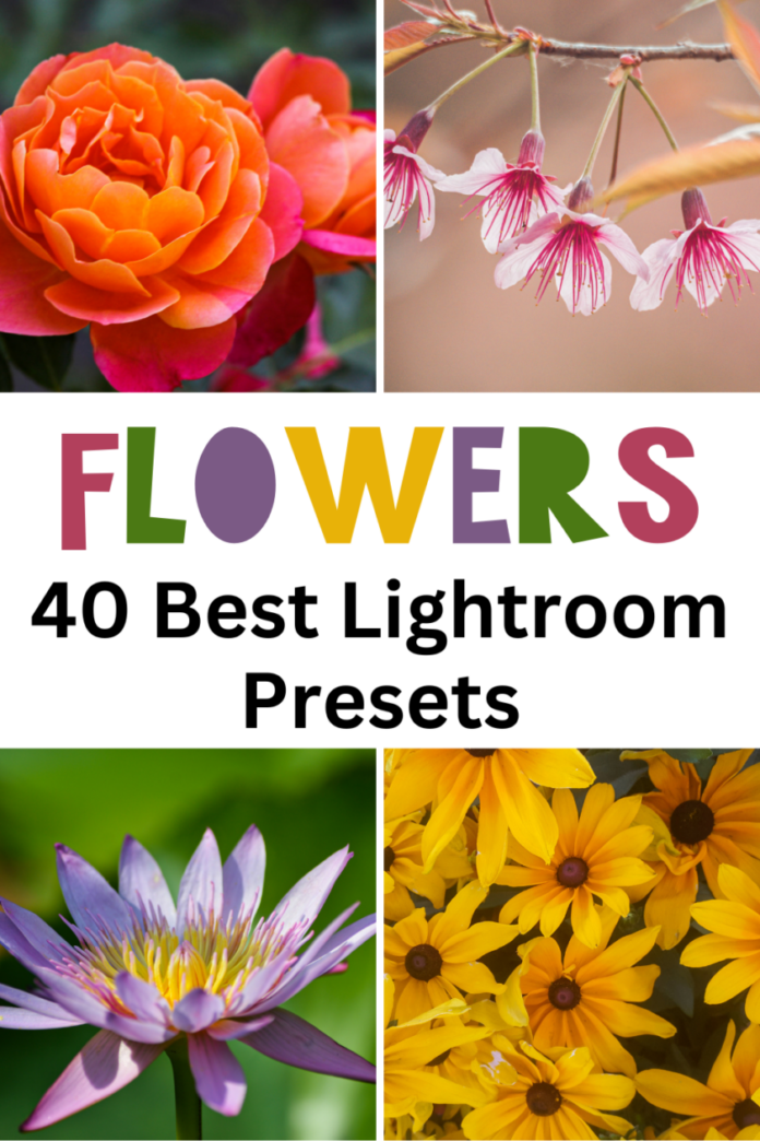 40 Best Flowers Lightroom Presets, with 4 examples of flower photos edited using mobile presets