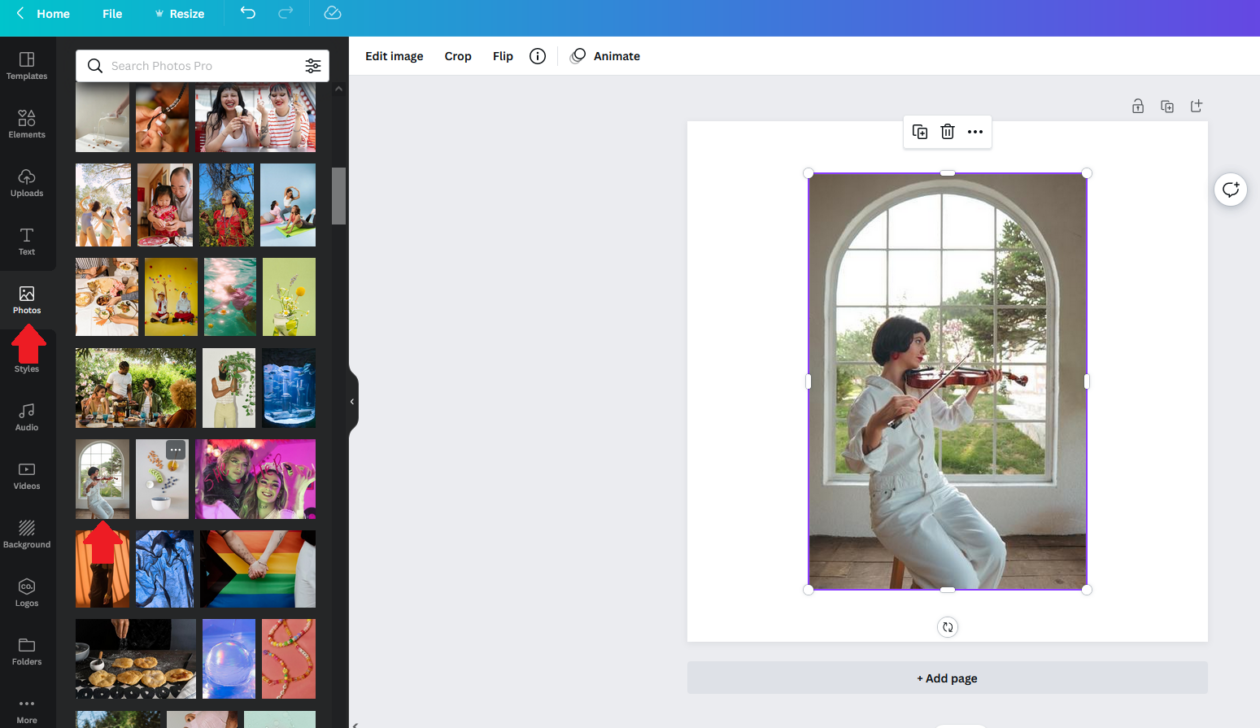 How to choose a stock photo from the Photos option in Canva graphic design tool