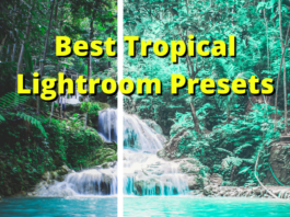 Top 75 Best Tropical Lightroom Presets Before and after examples of a photo of a waterfall edited with one of the best tropical mobile Lightroom presets