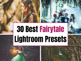 Top 30 Best Fairytale Lightroom Presets 30 Best Fairy Tale Lightroom Presets for Mobile & Desktop