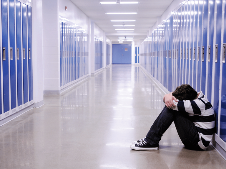 Searching for Acceptance in the Public School System