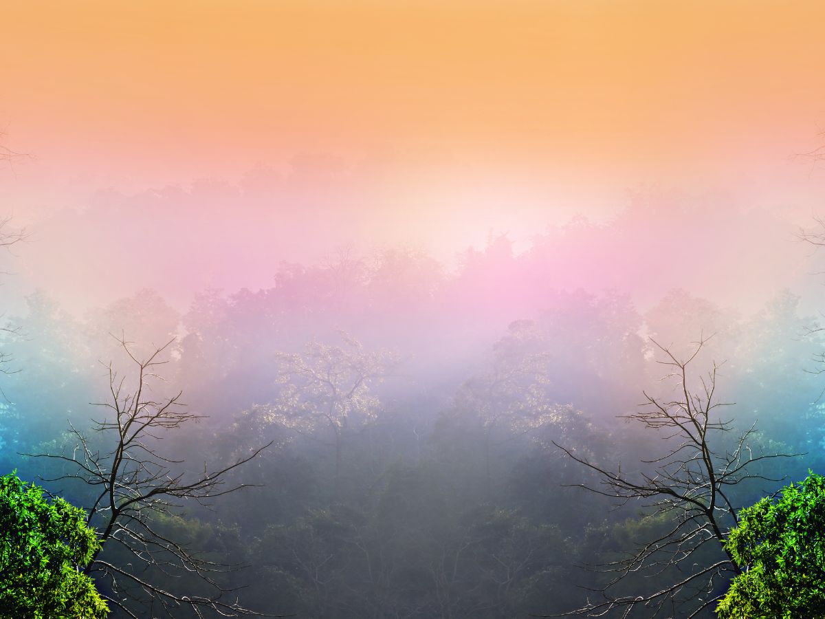 Signposts of the Spiritual Journey - Vimarsana News