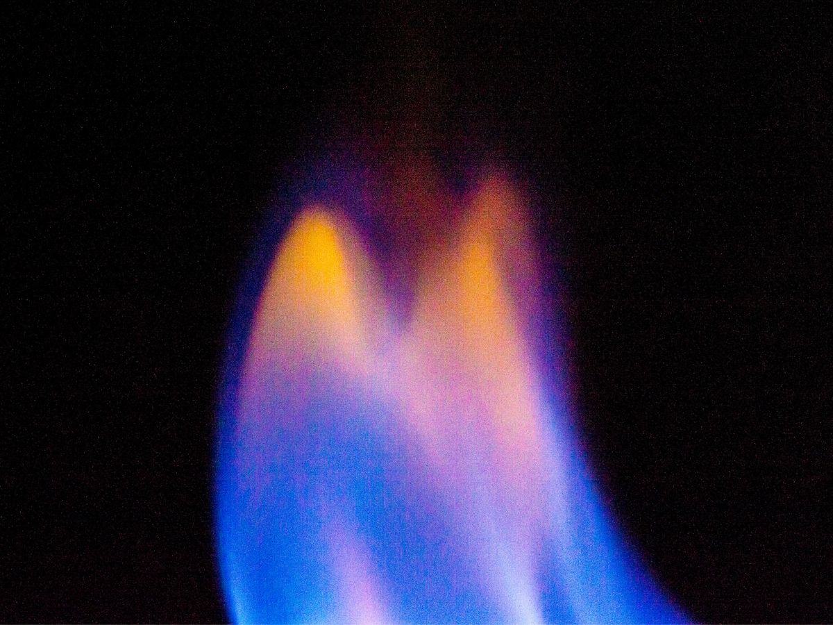 The Real Truth about Twin Flames - Vimarsana News