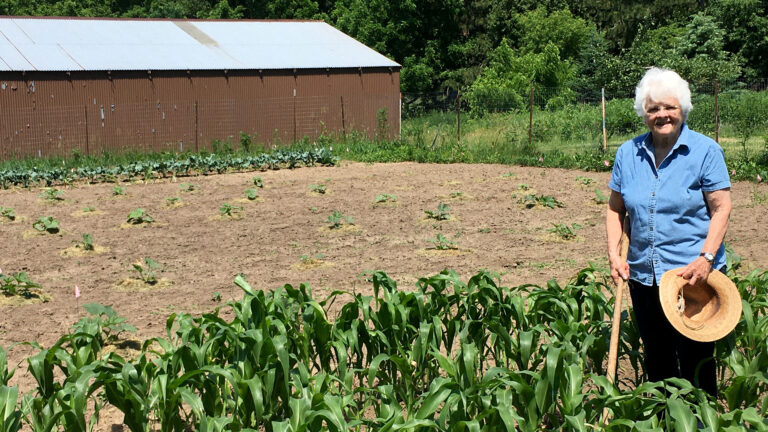 Woman standing in a vegetable garden. Woman standing in a vegetable garden.