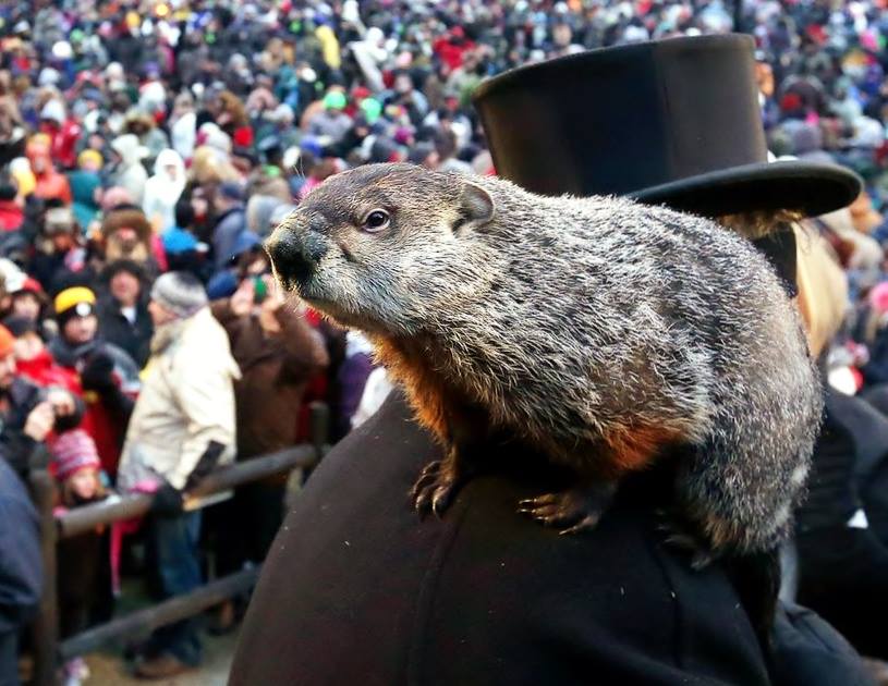 Groundhog Day 4