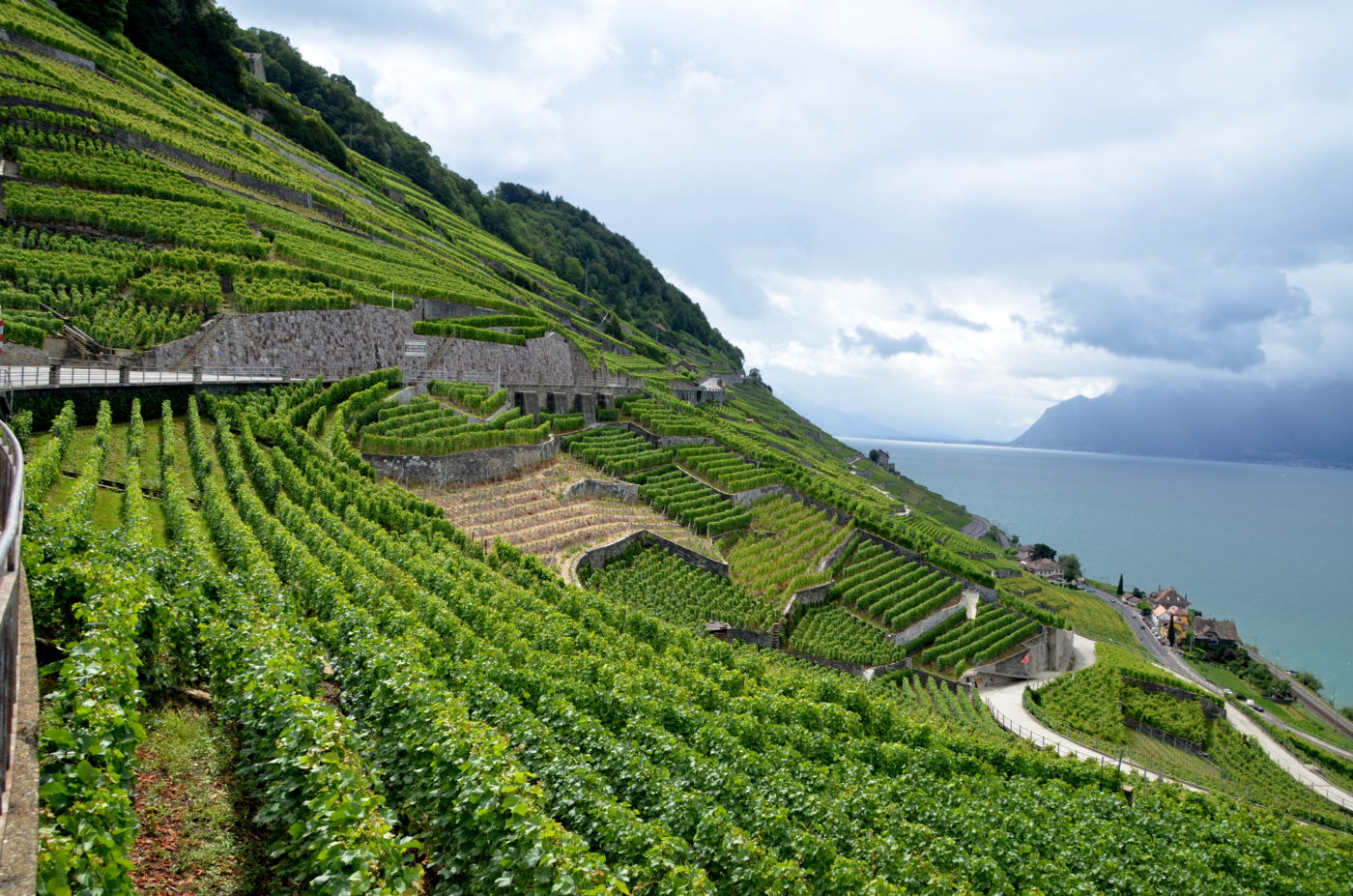 swiss wine