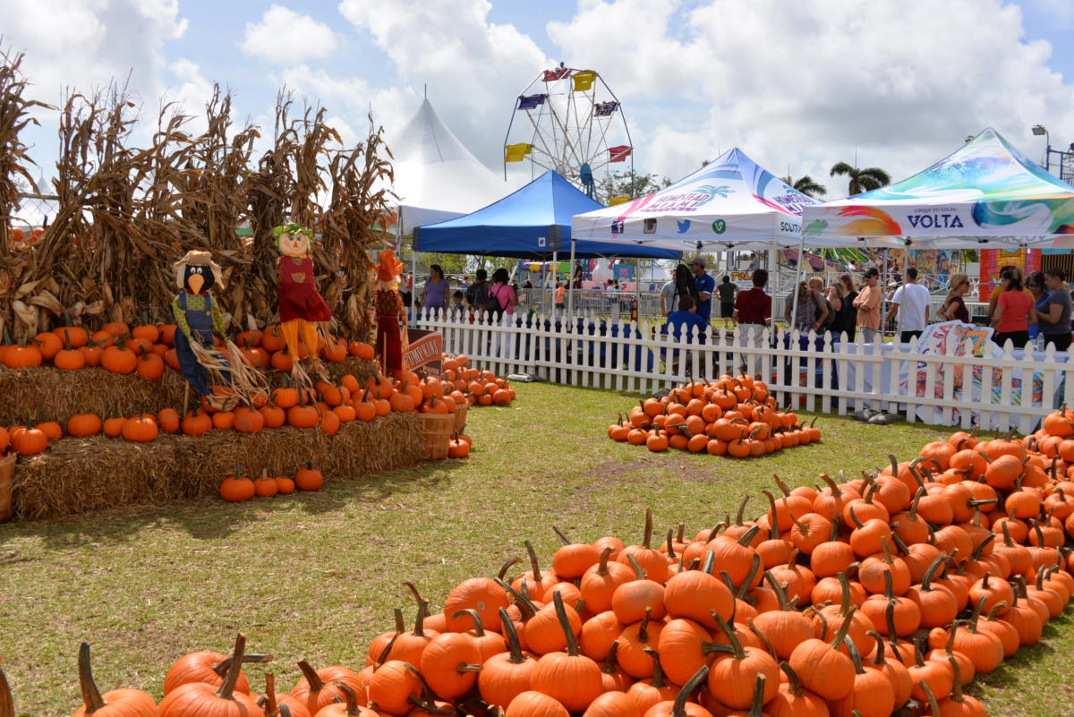october festivals