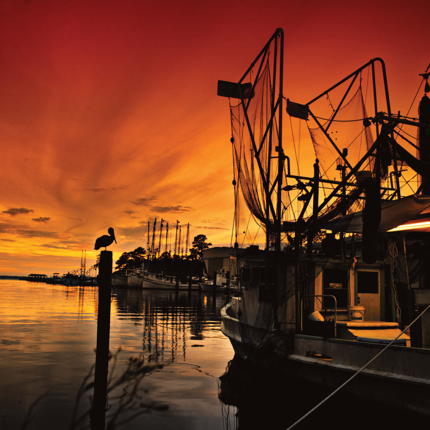 mississippi gulf coast