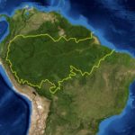 Amazon Rain Forest under threat