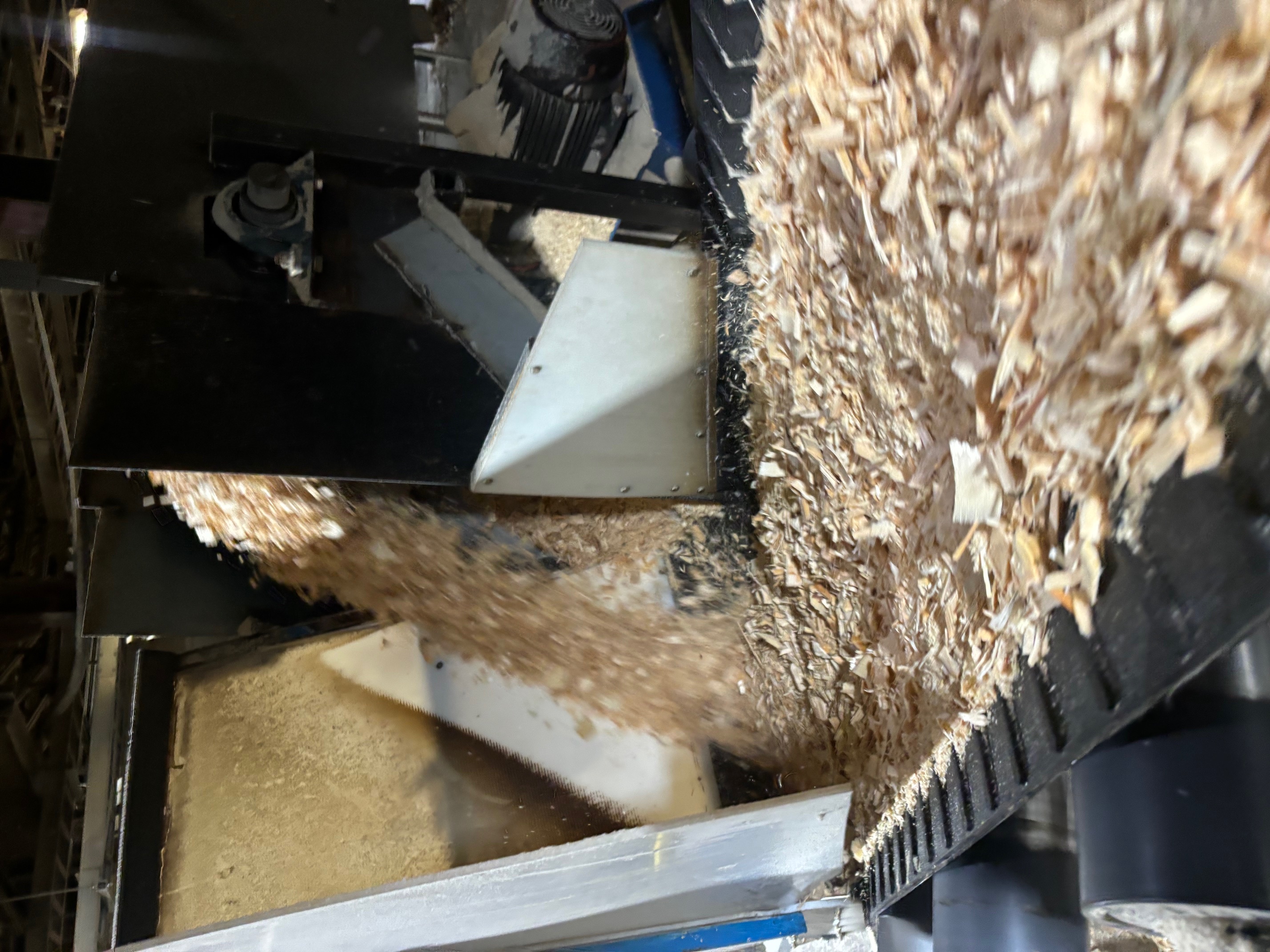 MIPR Corp built conveyor and cleated belt hard at work