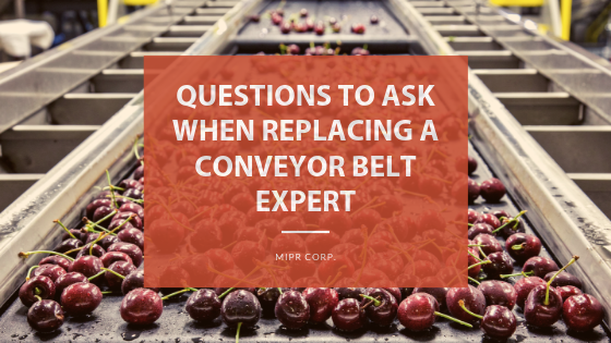 Replacing a conveyor belt. questions to ask the experts