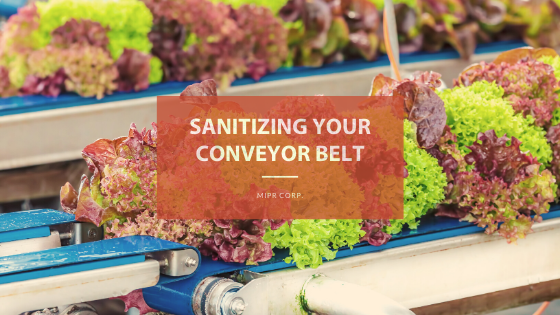 Keeping Conveyor Belts Clean & Sanitary 